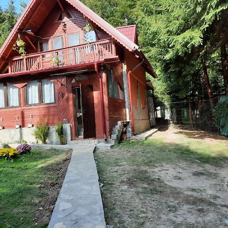 Villa Casuta Paterau Cheia, Prahova à Cheia  Extérieur photo