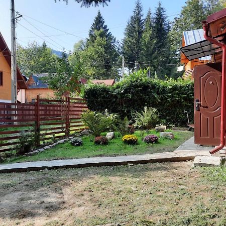 Villa Casuta Paterau Cheia, Prahova à Cheia  Extérieur photo